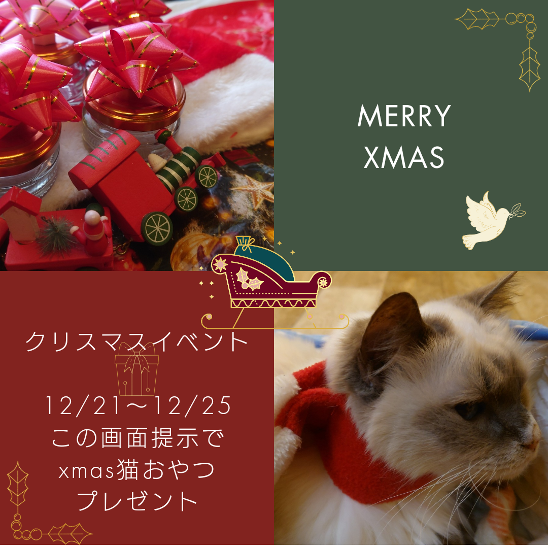 クリスマスイベント